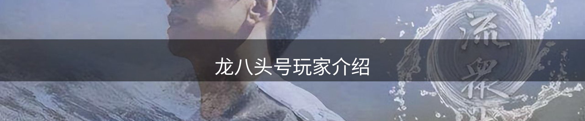 龙八头号玩家介绍